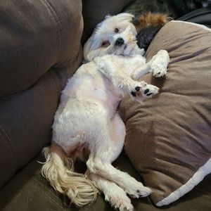 Meet your Posher, Laura